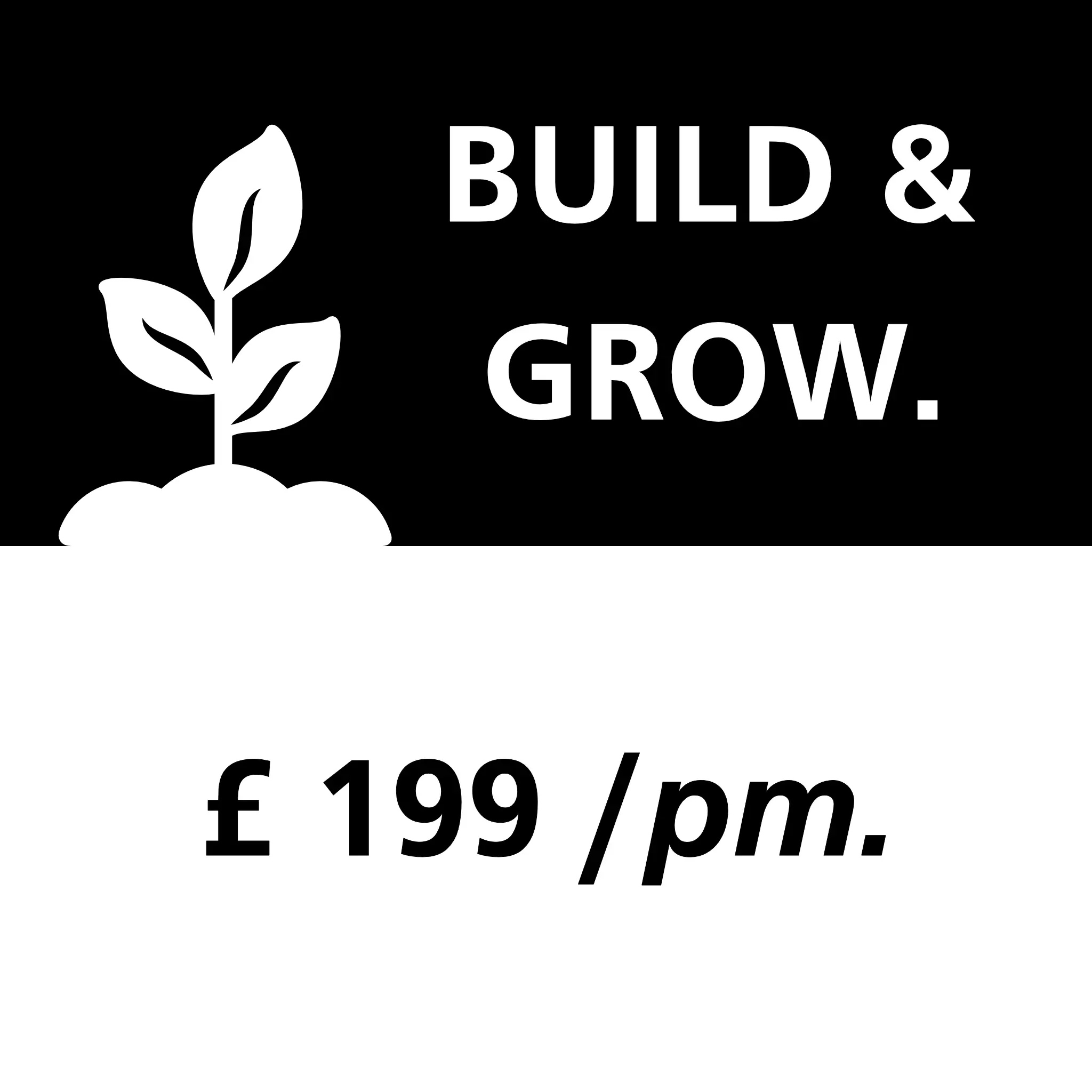 Pay Monthly Websites - Build & Grow - £199 / pm