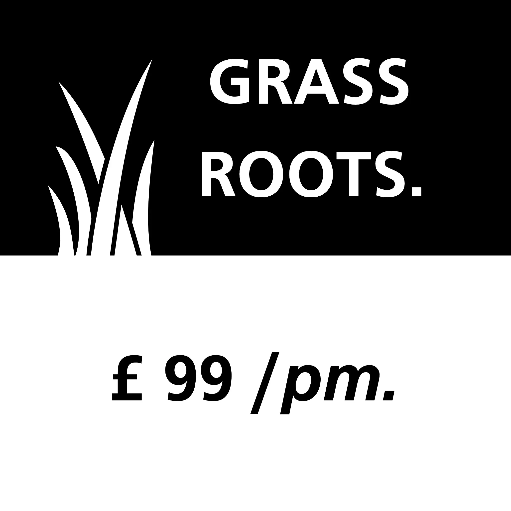 Pay Monthly Websites - Grass Roots - £99 /pm.